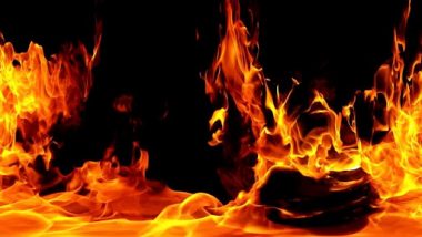 Lucknow Fire: দোকানে বিরিয়ানি খেতে গিয়ে পুড়ে মৃত ব্যক্তি, দেখুন হাড়হিম করা ভিডিয়ো